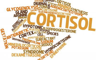 how to decrease cortisol